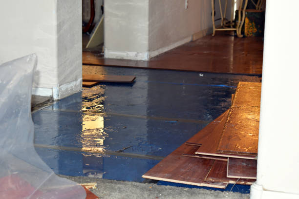 Professional Emergency Water Damage Restoration technician working in Metaline Falls, WA